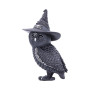 Gufetto Owlocen by Nemesis Now