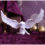 Angels Sympathy by Nemesis Now Collection
