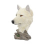 Snow Searcher by Nemesis Now Collection