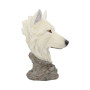 Snow Searcher by Nemesis Now Collection