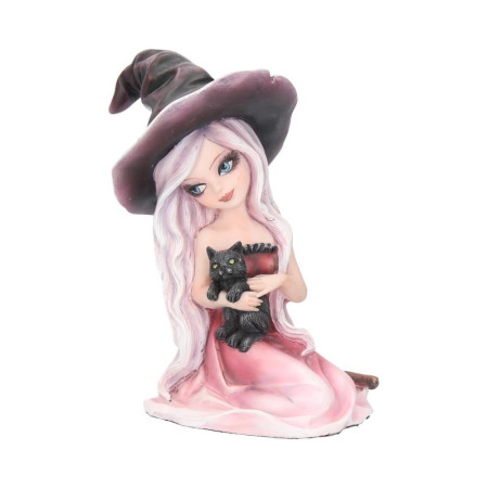 Strega Rosa by Nemesis Now