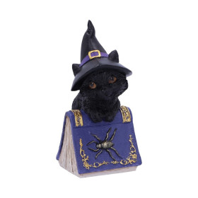 Pocus Gattino by Nemesis Now