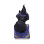Pocus Gattino by Nemesis Now