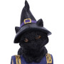 Pocus Gattino by Nemesis Now