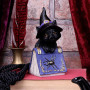 Pocus Gattino by Nemesis Now