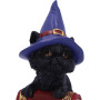 Hocus Gattino by Nemesis Now