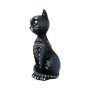 Mistic kitty by Nemesis Now