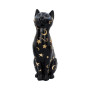 Felis gatto lunare by Nemesis Now
