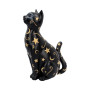 Felis gatto lunare by Nemesis Now