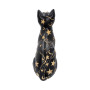 Felis gatto lunare by Nemesis Now