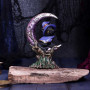 Grimalkin gatto by Nemesis Now Collection