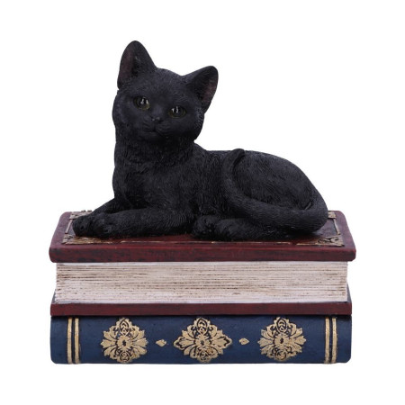 Salems Spells gattino by Nemesis Now Collection