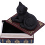 Salems Spells gattino by Nemesis Now Collection