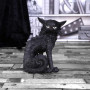 Gatto Salem piccolo by Nemesis Now