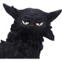 Gatto Salem piccolo by Nemesis Now