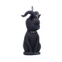 Pawzuph hanging ornament by nemesis Now