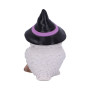 Gufetto Magico by Nemesis Collection
