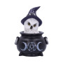 Owl's Brew gufetto by Nemesis Now Collection