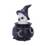 Owl's Brew gufetto by Nemesis Now Collection