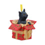 Pacco regalo con gattino by Lisa Parker