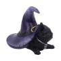 Gattino Piper con capello by Nemesis Now
