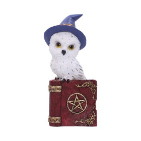 Gufetto Avian Spell by Nemesis Now Collection