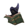 Gattino Kitty's Grimoire by Nemesis Now Collection