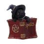Gattino Kitty's Grimoire Red by Nemesis Now