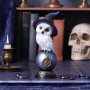 Gufetto Charm by Nemesis Now Collection