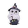 Gufo Potion by Nemesis Now Collection