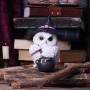 Gufo Potion by Nemesis Now Collection