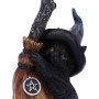 Gattino guardiano Broom by Nemesis Now