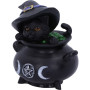 Gattino Strega Bubble by Nemesis Now
