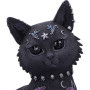 Gatto Bad to bone by Nemesis Now