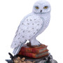 Harry Poter Edvige By Nemesis Collection