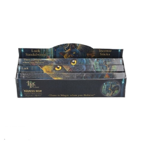 Bastoncini di incenso della fortuna by Lisa Parker