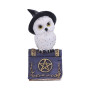 Gufetto sul libro by Nemesis Now Collection