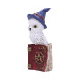 Gufetto sul libro by Nemesis Now Collection