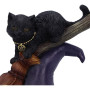 Gattino magico Bewitched by Nemesis Now