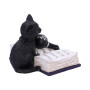 Gattino Mischievous Feline by Nemesis Now
