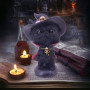 Gattino nero con capello
