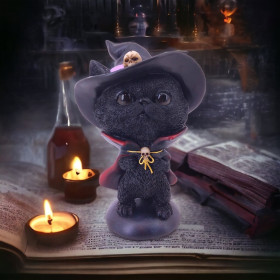 Gattino nero con capello