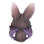 Gattino Batty by Nemesis Now Collection