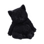 Gattino Daydream by Nemesis Now Collection