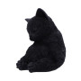 Gattino Daydream by Nemesis Now Collection