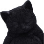 Gattino Daydream by Nemesis Now Collection