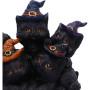 Familiar Friends by Nemesis Now collection
