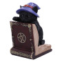 Gattino Peek a Book By Nemesis Now