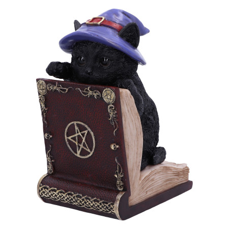 Gattino Peek a Book By Nemesis Now