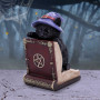 Gattino Peek a Book By Nemesis Now